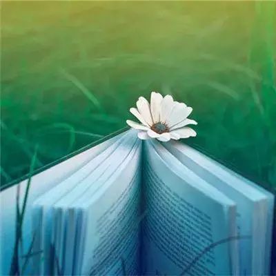 北京国际图书博览会落幕北京展区达成版权合作意向150种